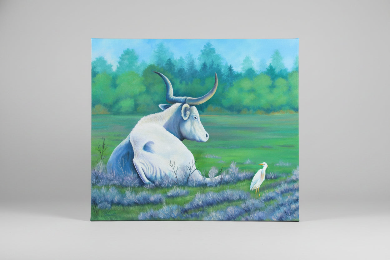 Bull and Egret in Peaceful Meadow