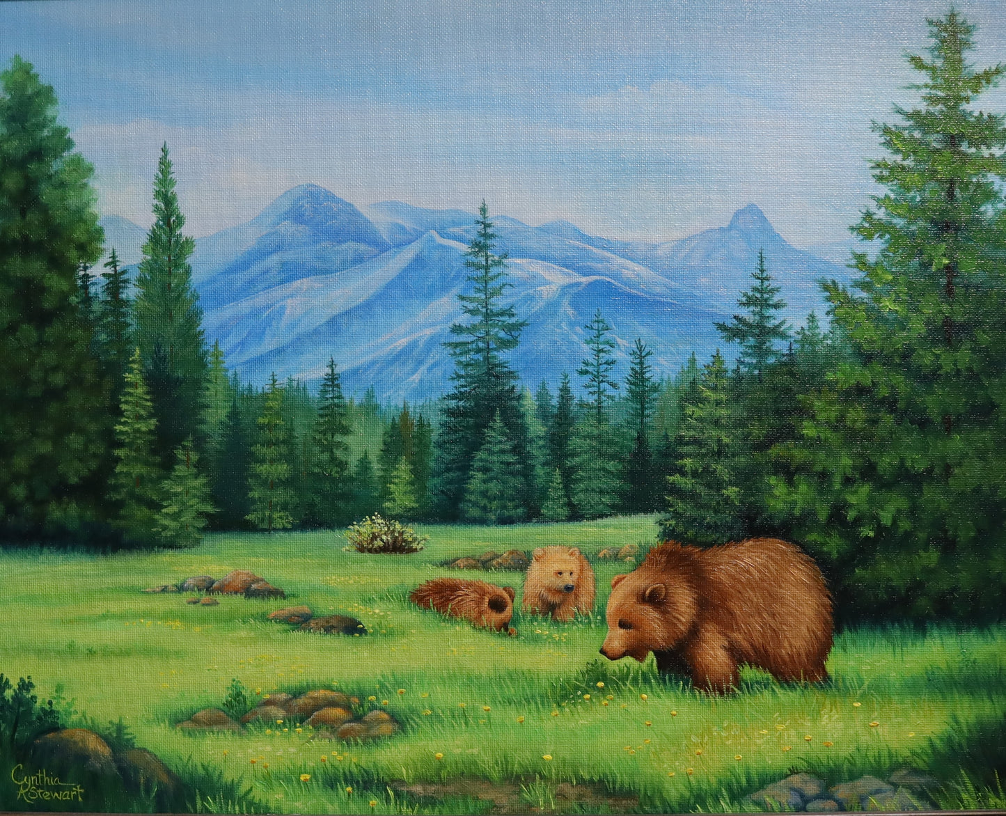 Bears in British Columbia