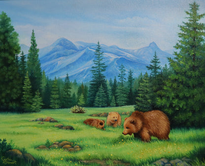 Bears in British Columbia
