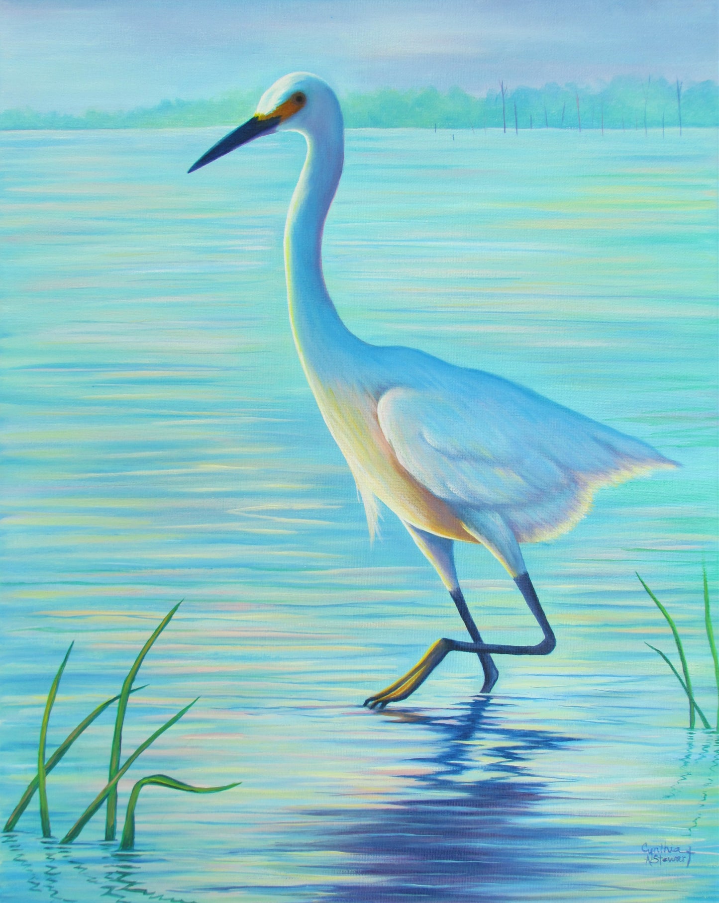 Serenity (Heron walking in water)