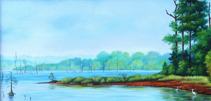 A Day at the Lake
